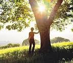 Resting by Tree